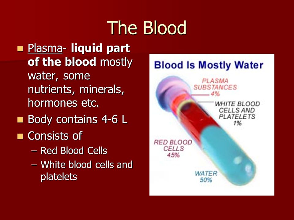 The Blood Plasma- liquid part of the blood mostly water, some nutrients, minerals, hormones etc.