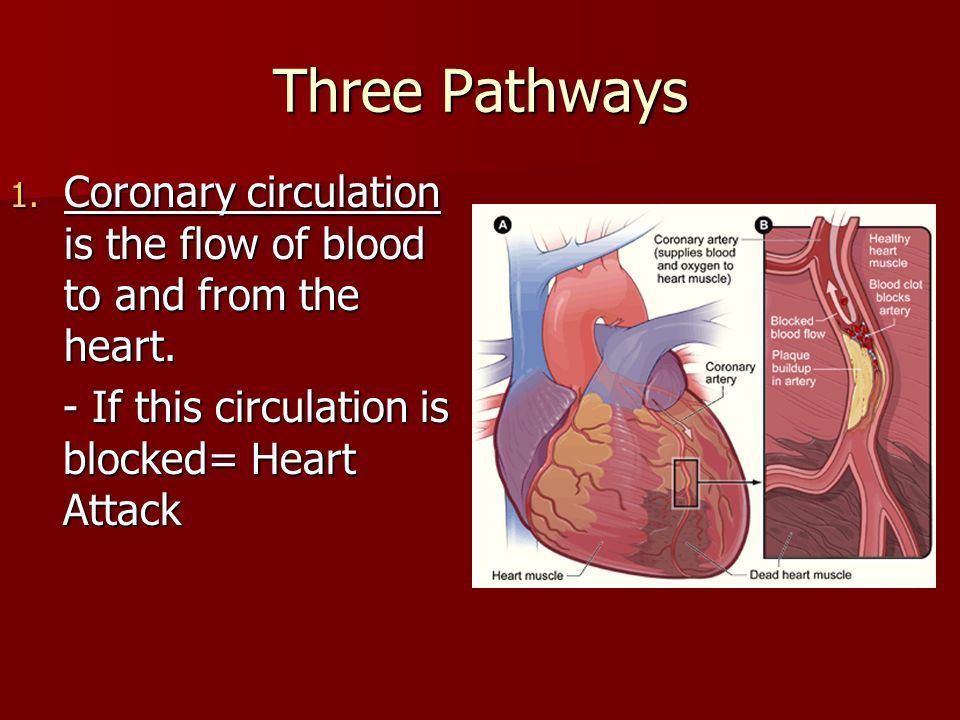 Three Pathways 1. Coronary circulation is the flow of blood to and from the heart.