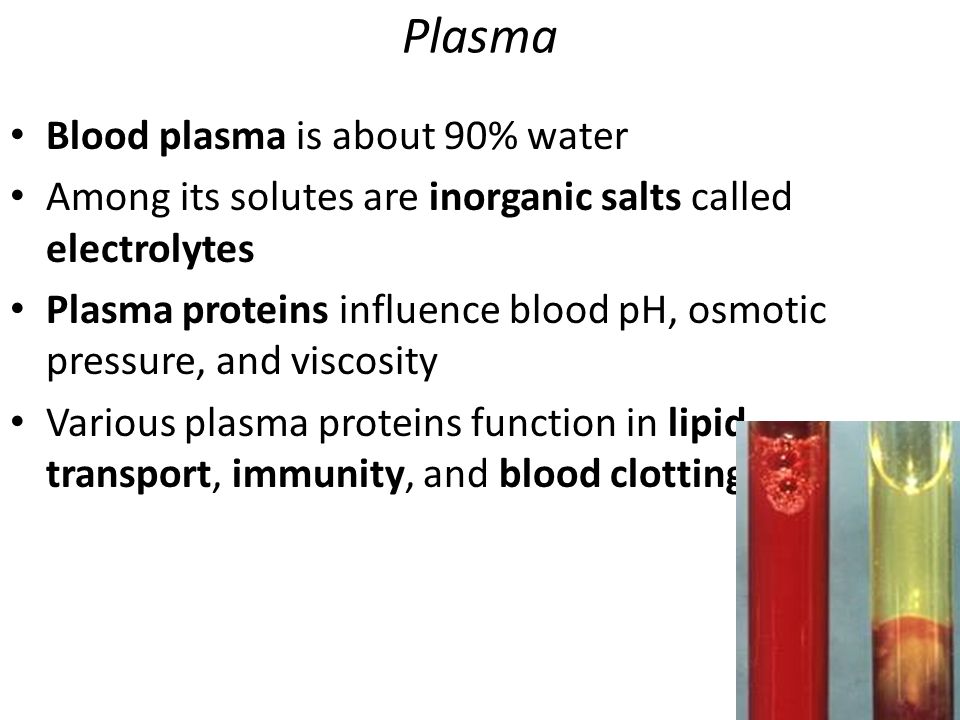 Plasma Blood plasma is about 90% water Among its solutes are inorganic salts called electrolytes Plasma proteins influence blood pH, osmotic pressure, and viscosity Various plasma proteins function in lipid transport, immunity, and blood clotting