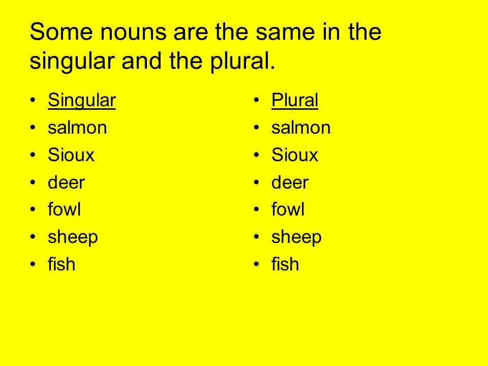 Some nouns are the same in the singular and the plural.