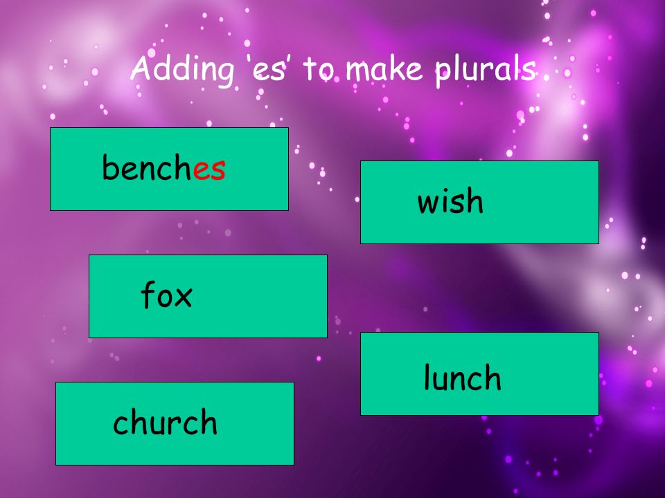 Adding ‘es’ to make plurals bench fox church lunch wish