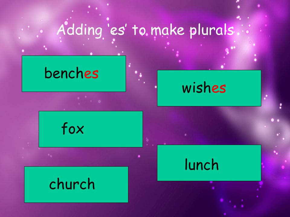 Adding ‘es’ to make plurals benches fox church lunch wish