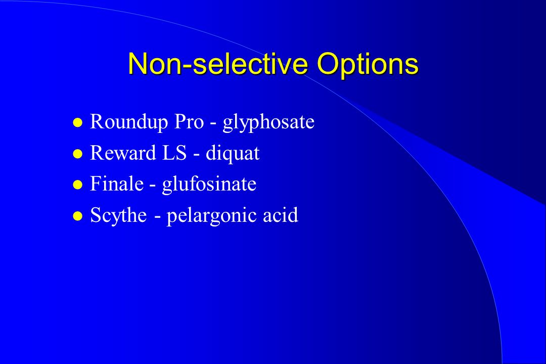 Non-selective Options l Roundup Pro - glyphosate l Reward LS - diquat l Finale - glufosinate l Scythe - pelargonic acid