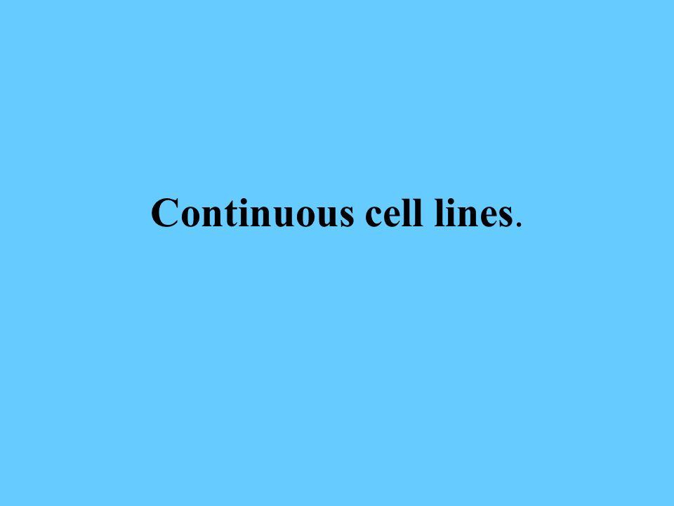 Continuous cell lines.