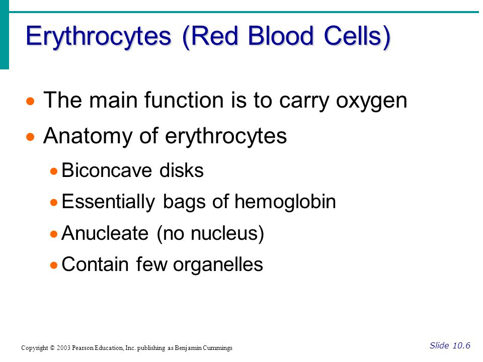 Erythrocytes (Red Blood Cells) Slide 10.6 Copyright © 2003 Pearson Education, Inc.