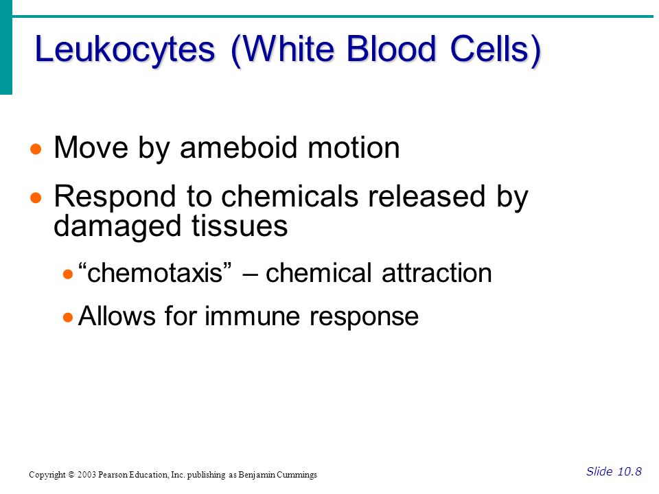 Leukocytes (White Blood Cells) Slide 10.8 Copyright © 2003 Pearson Education, Inc.