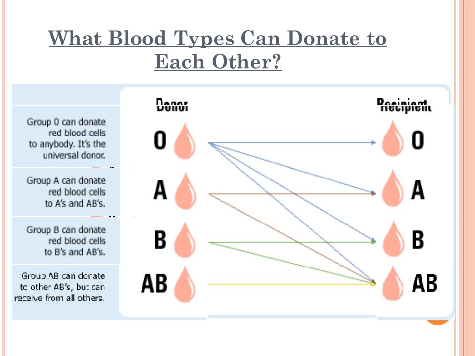 What Blood Types Can Donate to Each Other