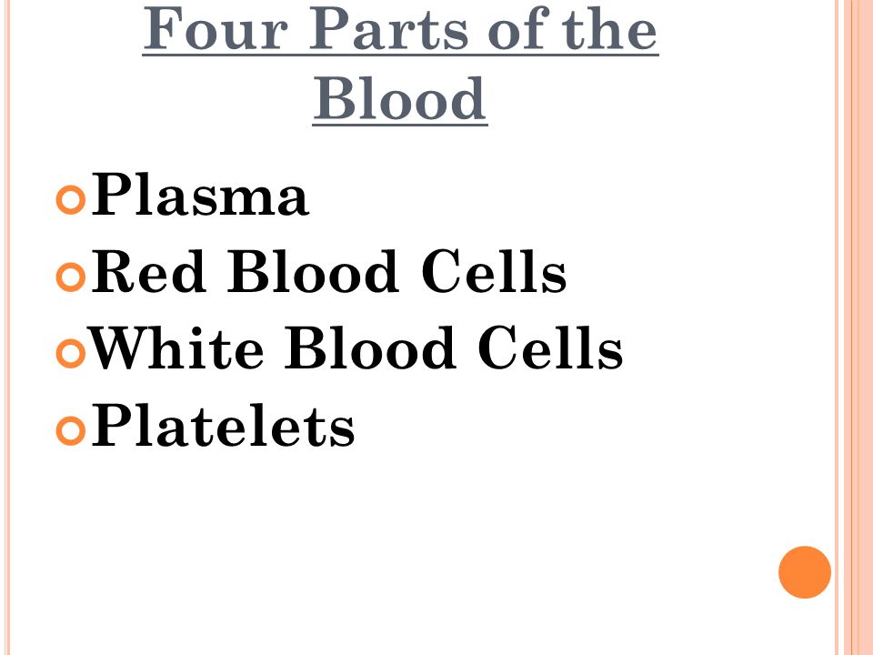 Four Parts of the Blood Plasma Red Blood Cells White Blood Cells Platelets
