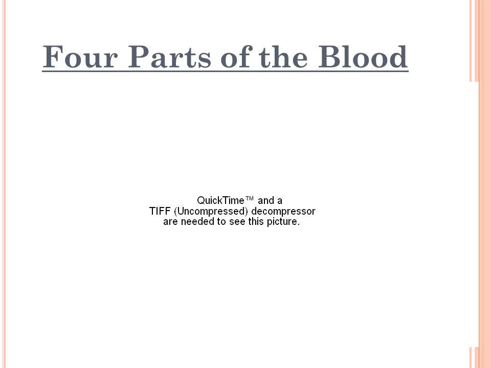 Four Parts of the Blood