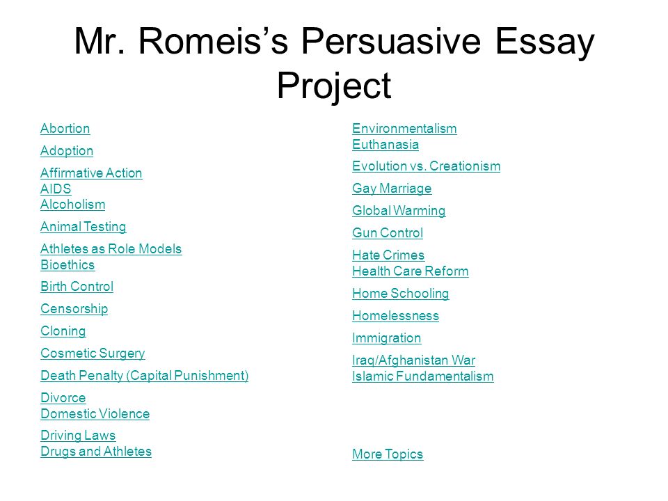 mr romeiss persuasive essay project abortion adoption affirmative persuasive essay on adoption
