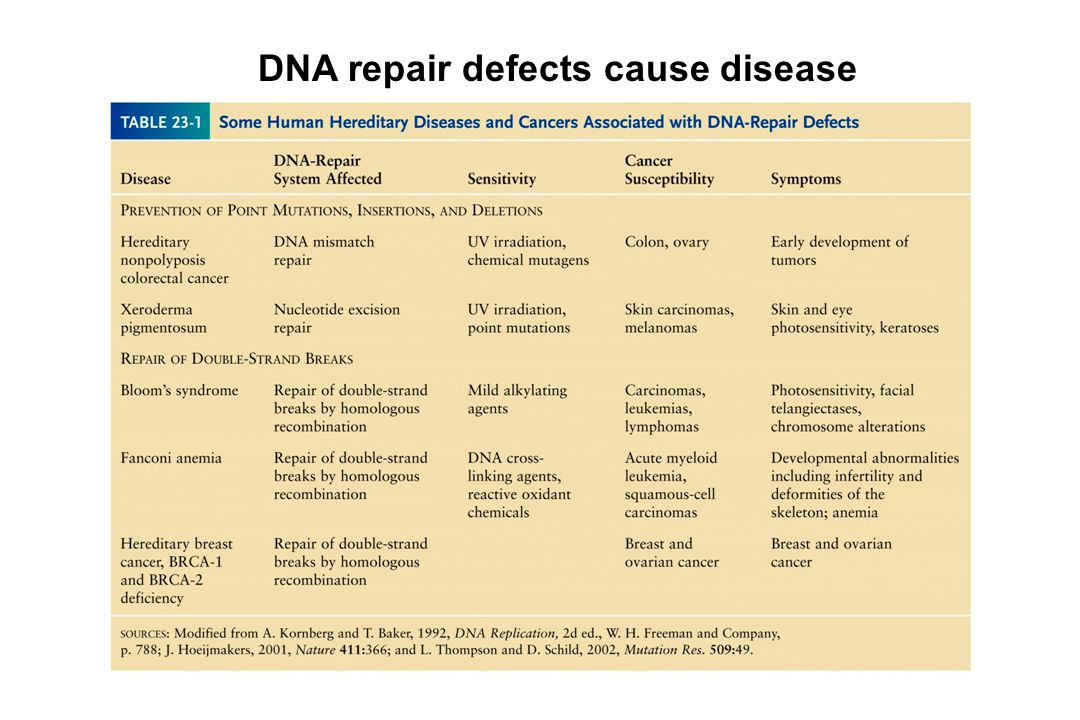 DNA repair systems