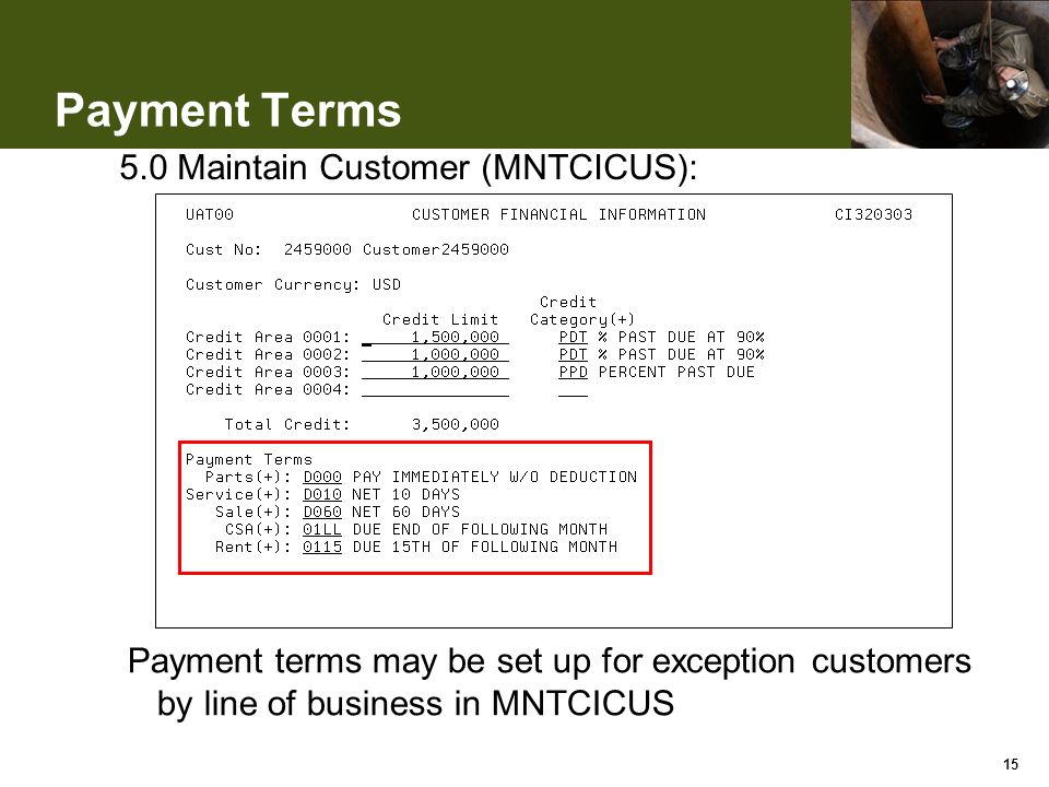 Payment Terms Maintain Customer (MNTCICUS): Payment terms may be set up for exception customers by line of business in MNTCICUS