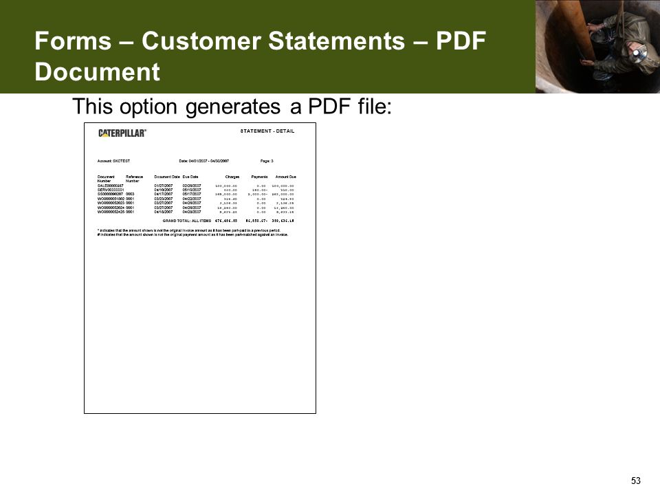 Forms – Customer Statements – PDF Document 53 This option generates a PDF file: