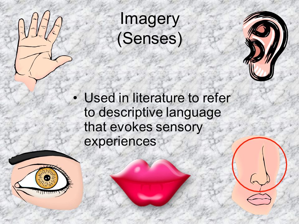 Imagery (Senses) Used in literature to refer to descriptive language that evokes sensory experiences