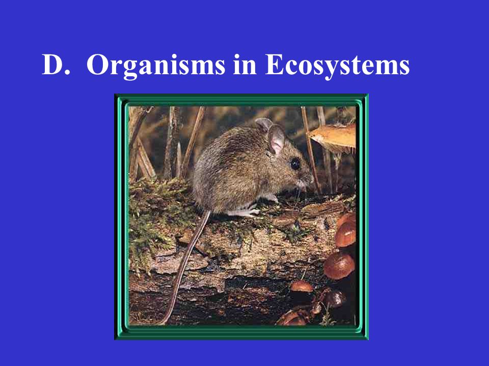 D. Organisms in Ecosystems