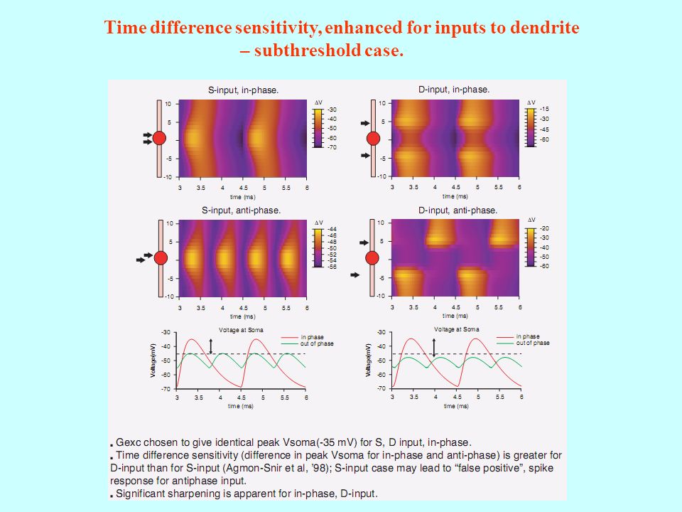 Time difference sensitivity, enhanced for inputs to dendrite – subthreshold case.