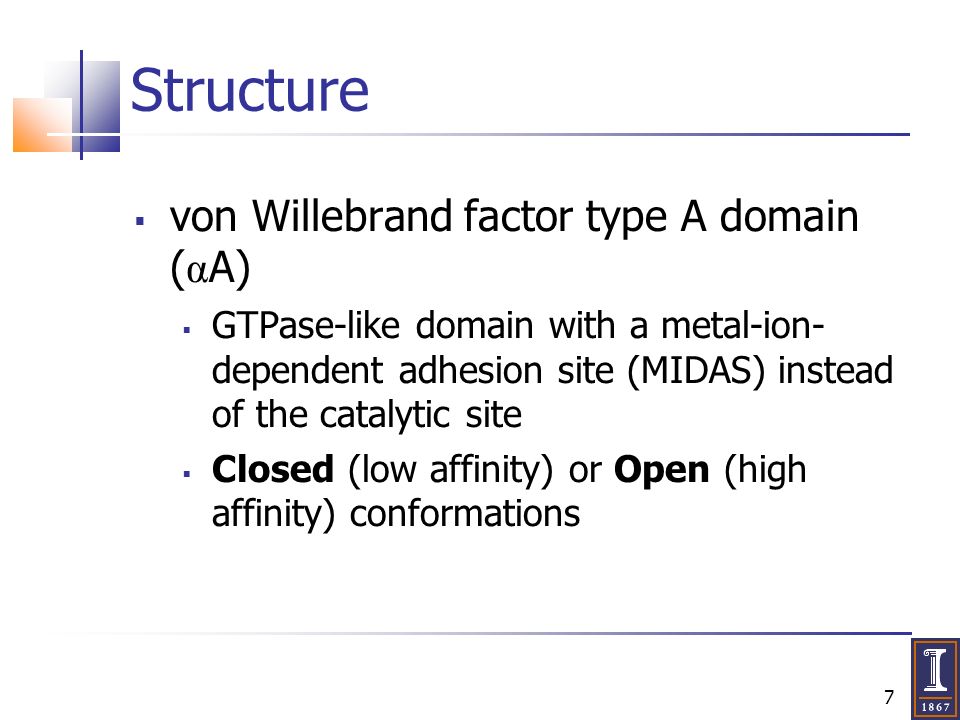 7 Structure  von Willebrand factor type A domain ( α A)  GTPase-like domain with a metal-ion- dependent adhesion site (MIDAS) instead of the catalytic site  Closed (low affinity) or Open (high affinity) conformations
