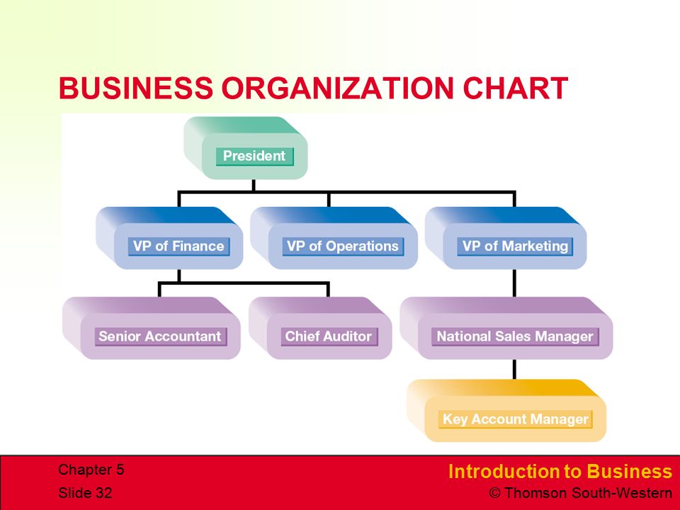 Organizational Chart Of Sole Proprietorship