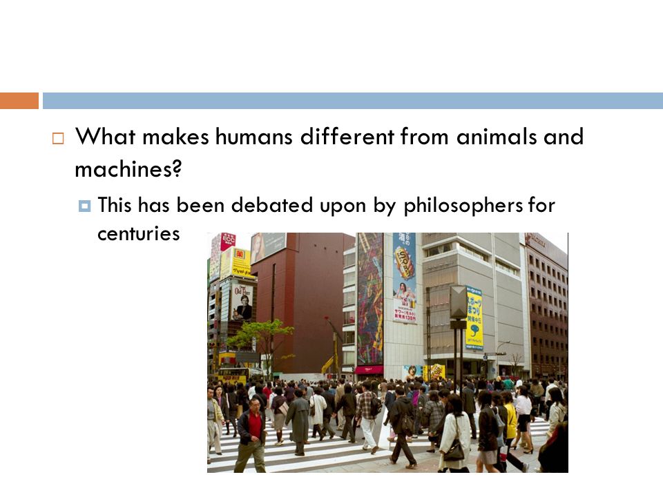 CHAPTER 2 HUMAN NATURE From Philosophy: Questions and Theories. - ppt  download