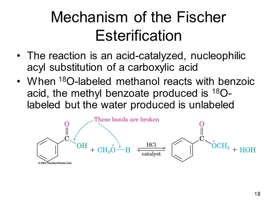 fischer esterification of benzoic acid