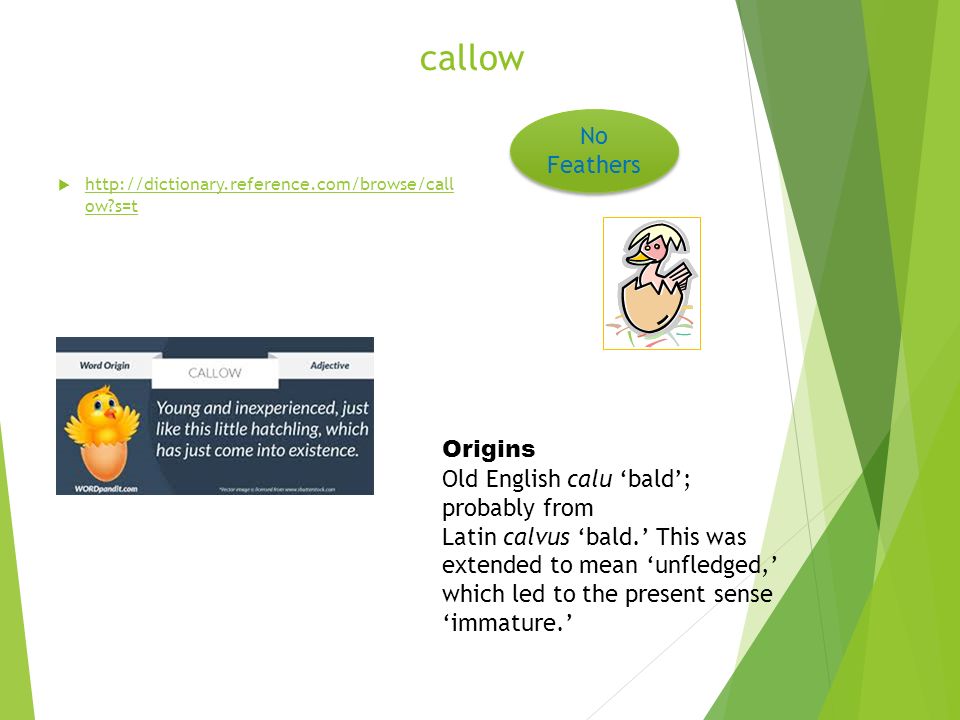 Callow meaning