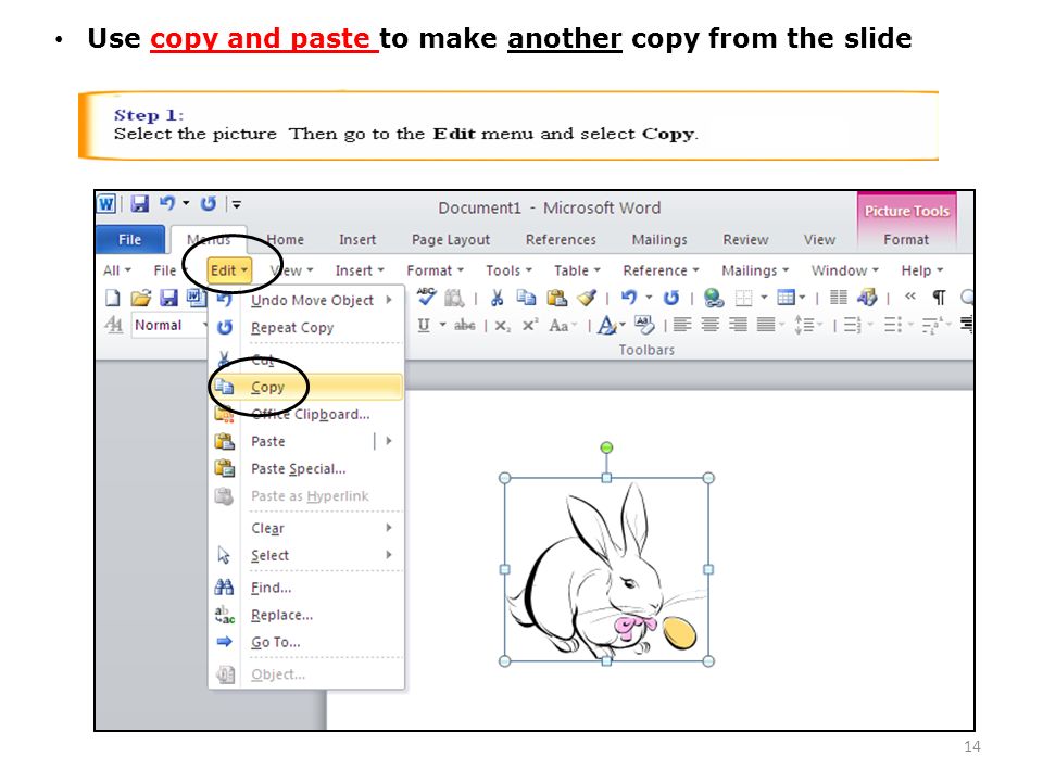 14 Use copy and paste to make another copy from the slide