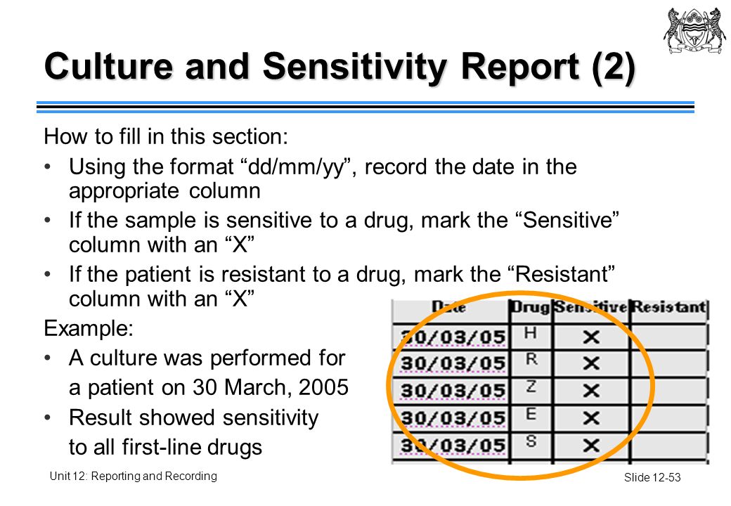 culture and sensitivity report example Aaron animal clinic & emergency hospital.