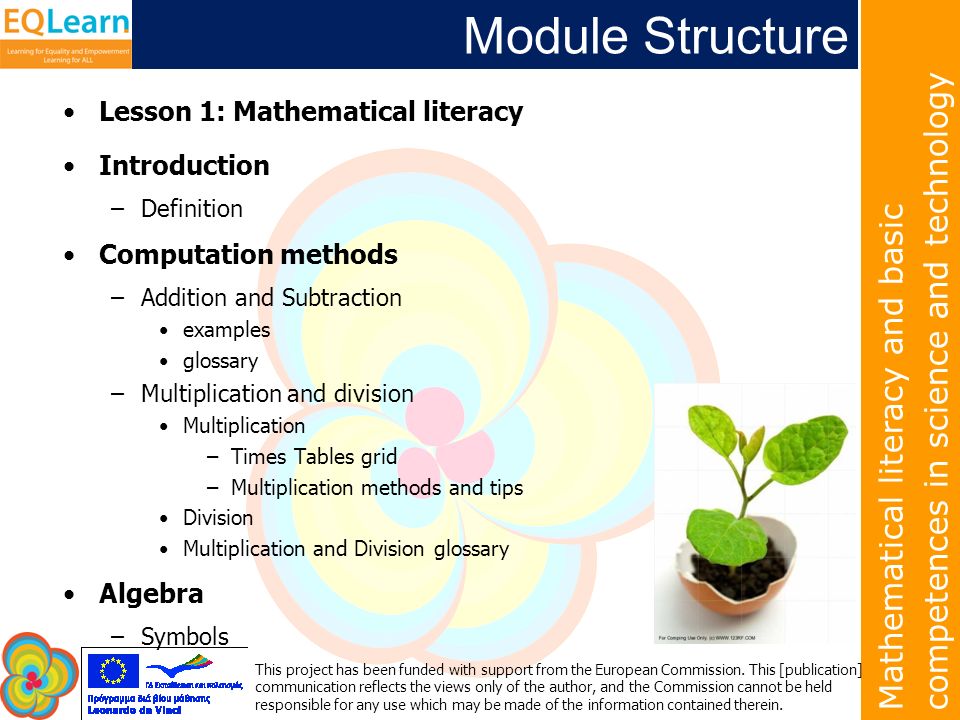 Mathematical literacy and basic competences in science and technology This project has been funded with support from the European Commission.
