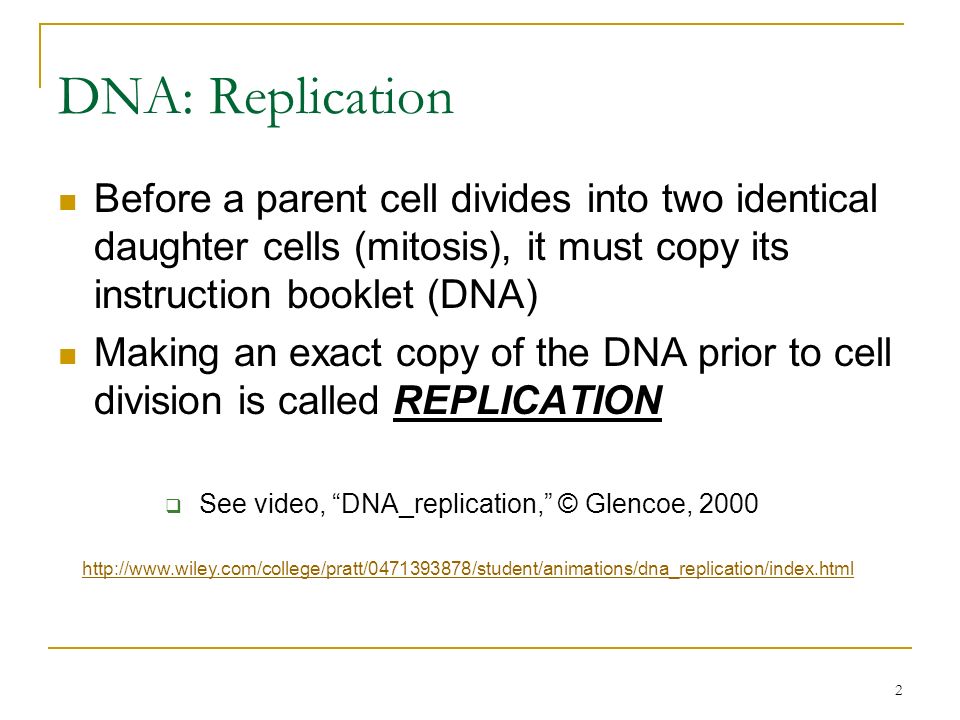 2 DNA: Replication Before a parent cell divides into two identical daughter cells (mitosis), it must copy its instruction booklet (DNA) Making an exact copy of the DNA prior to cell division is called REPLICATION  See video, DNA_replication, © Glencoe,