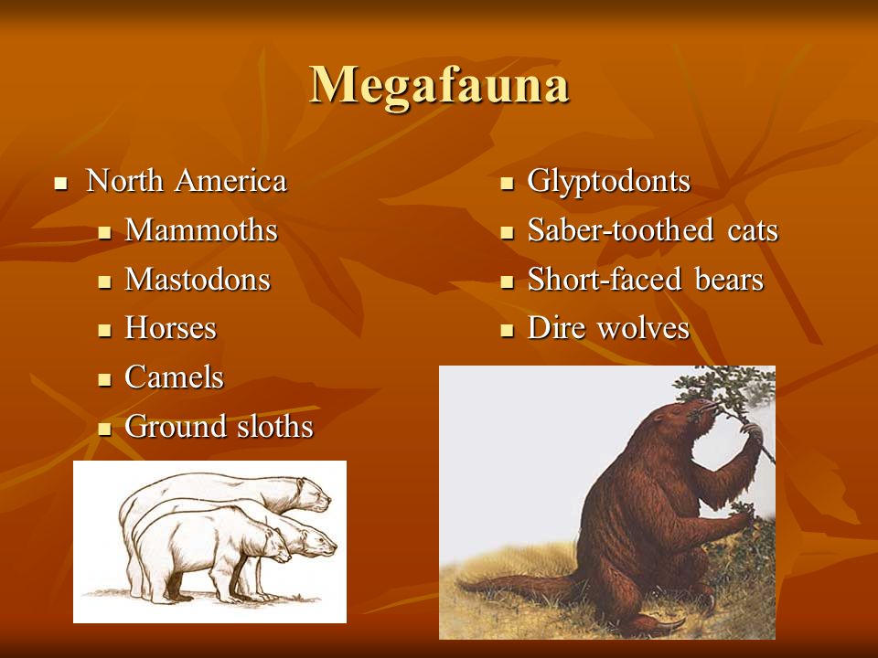 Pleistocene Extinction Affected the Pleistocene Megafauna Affected the Pleistocene  Megafauna Only land mammals Only land mammals Happened about years. - ppt  download