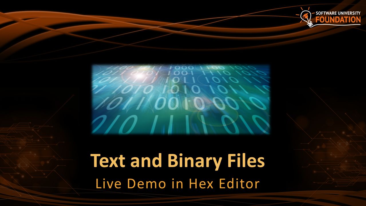 Text and Binary Files Live Demo in Hex Editor