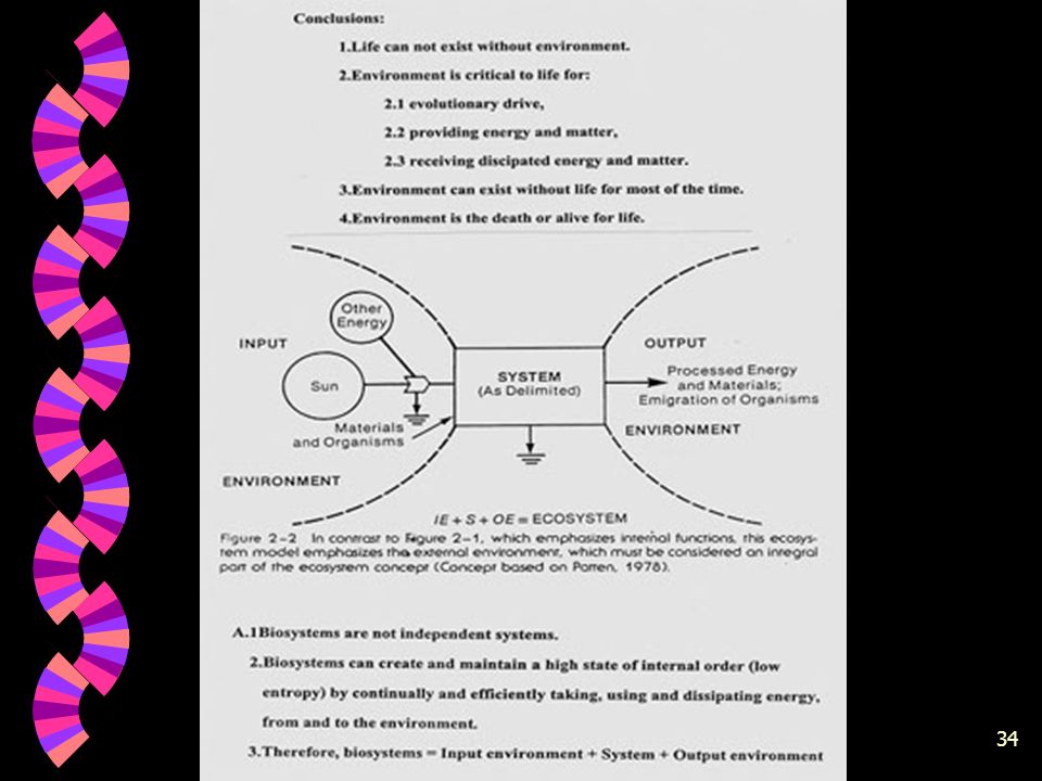 BBA Part1_2 (Gajaseni, 2001)34