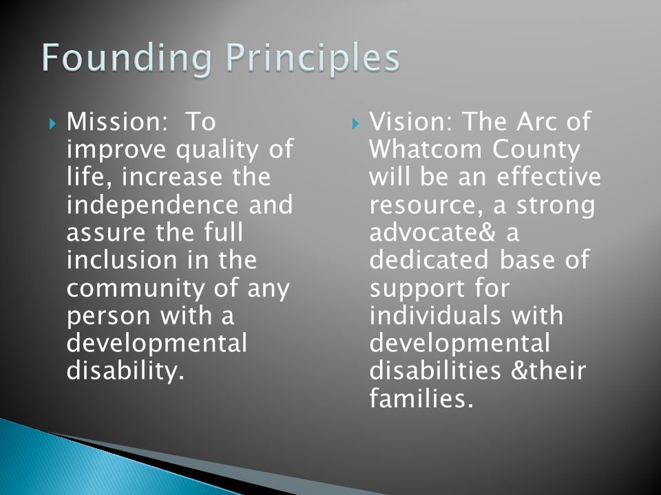  Mission: To improve quality of life, increase the independence and assure the full inclusion in the community of any person with a developmental disability.