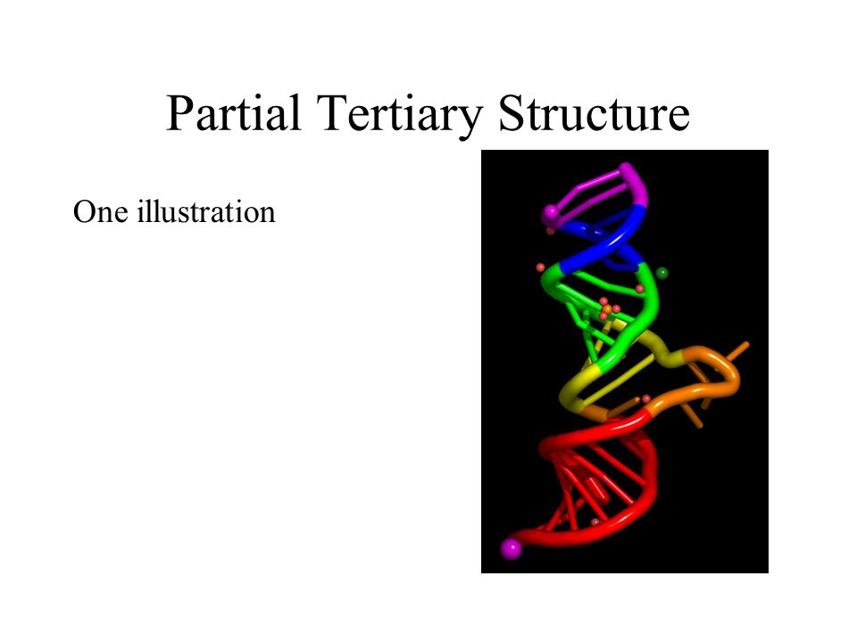 Partial Tertiary Structure One illustration