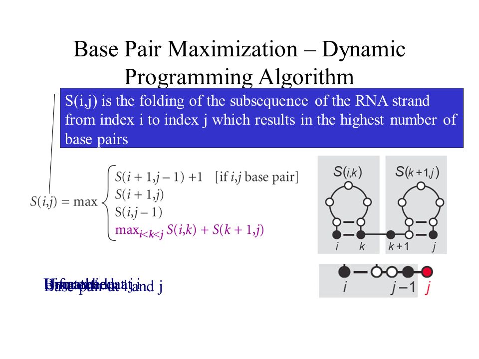 Base Pair Maximization – Dynamic Programming Algorithm Simple Example: Maximizing Base Pairing Base pair at i and j Unmatched at iUmatched at jBifurcation Images – Sean Eddy S(i,j) is the folding of the subsequence of the RNA strand from index i to index j which results in the highest number of base pairs