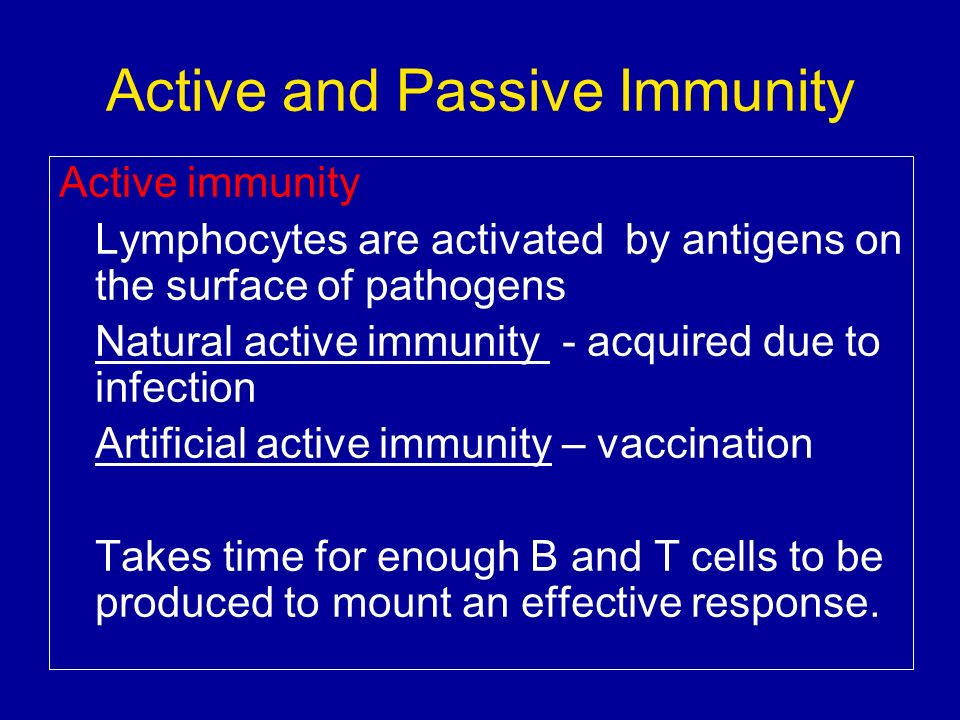 Active and Passive Immunity Active immunity Lymphocytes are activated by antigens on the surface of pathogens Natural active immunity - acquired due to infection Artificial active immunity – vaccination Takes time for enough B and T cells to be produced to mount an effective response.