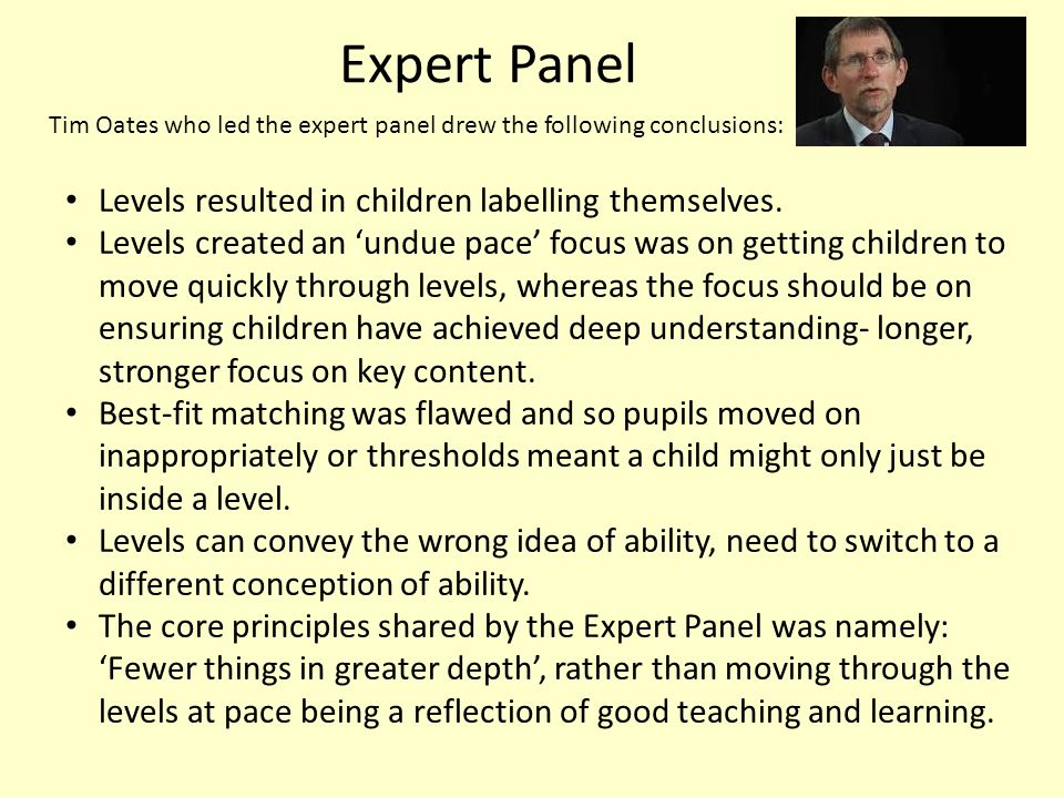Expert Panel Levels resulted in children labelling themselves.