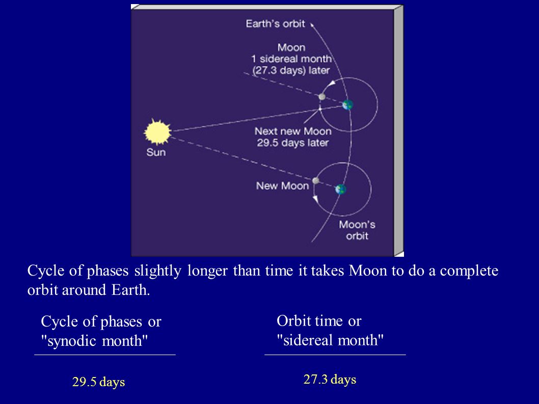 Cycle of phases slightly longer than time it takes Moon to do a complete orbit around Earth.