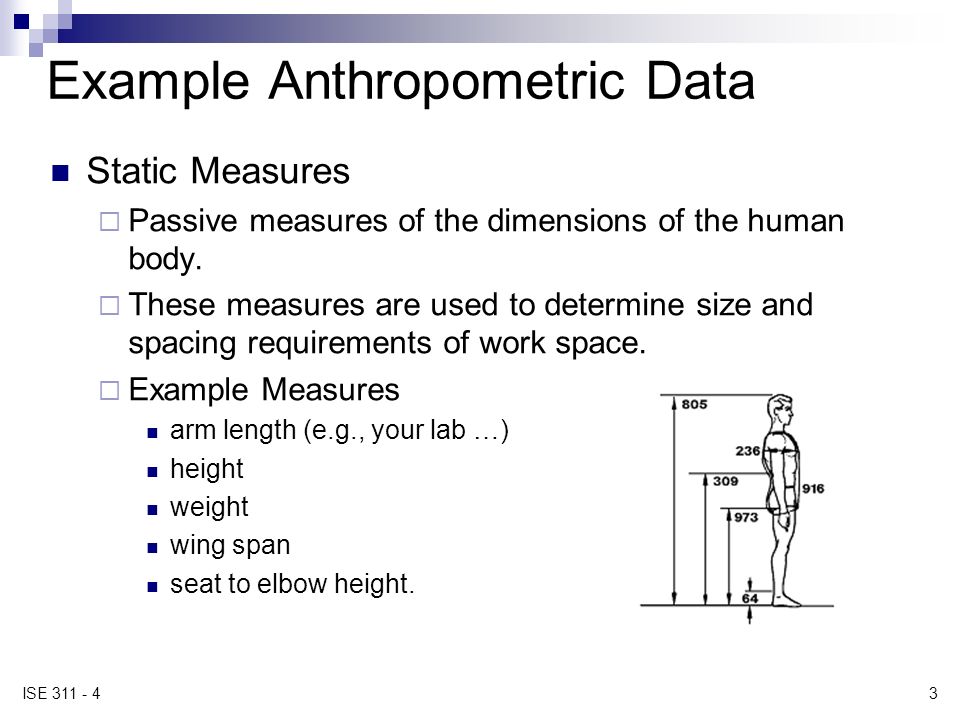 Of adult anthropometric
