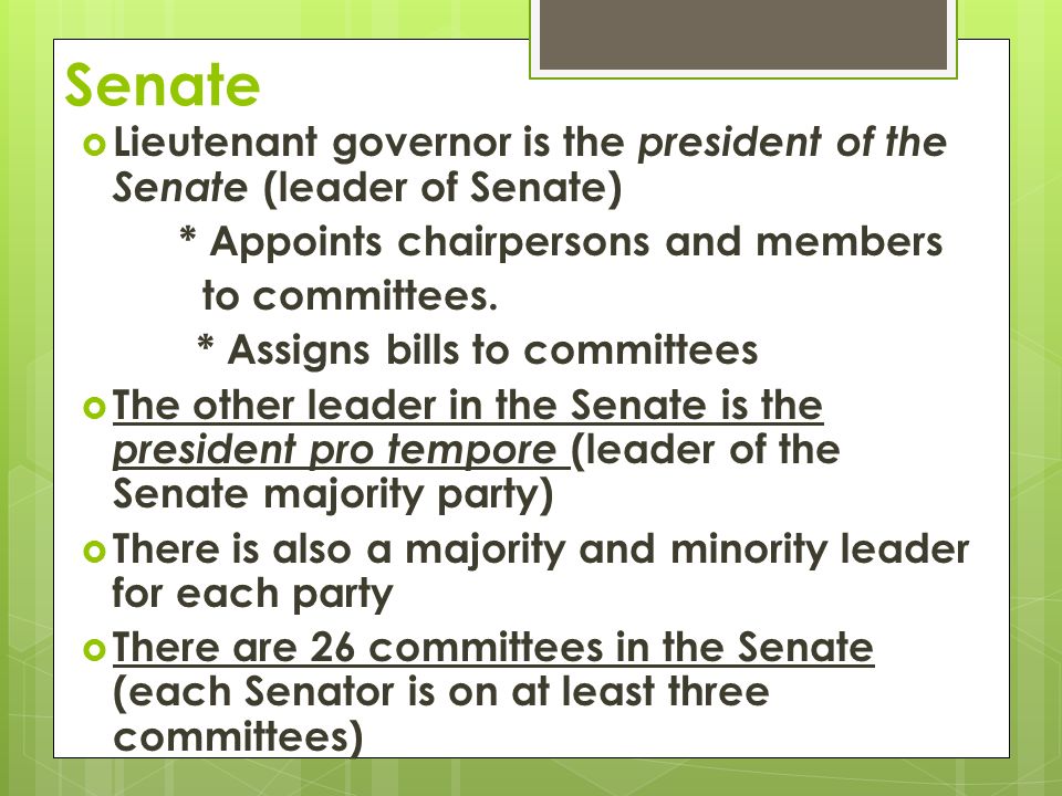 Senate  Lieutenant governor is the president of the Senate (leader of Senate) * Appoints chairpersons and members to committees.
