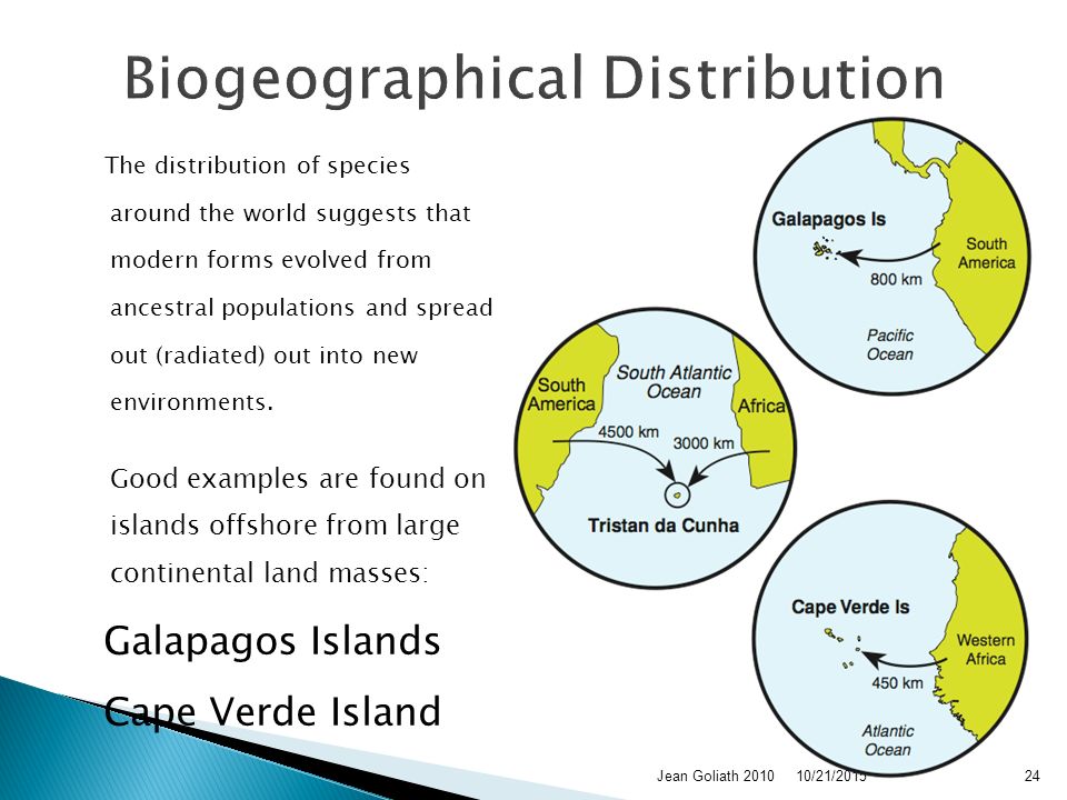 10/21/2015Jean Goliath Biogeographical Distribution The distribution of species around the world suggests that modern forms evolved from ancestral populations and spread out (radiated) out into new environments.