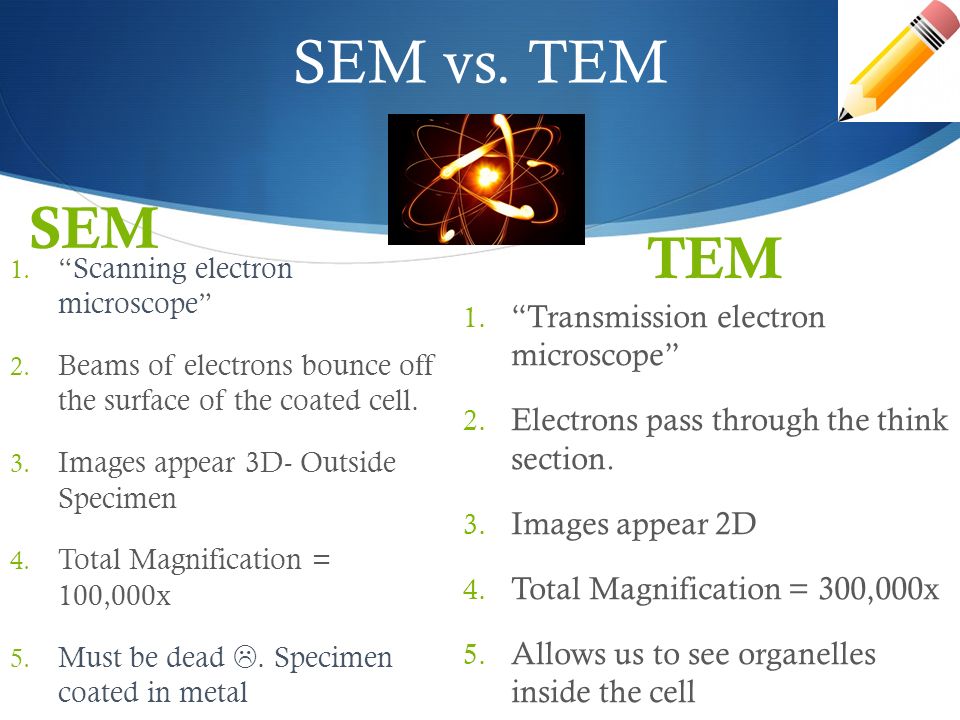 SEM vs. TEM SEM 1. Scanning electron microscope 2.