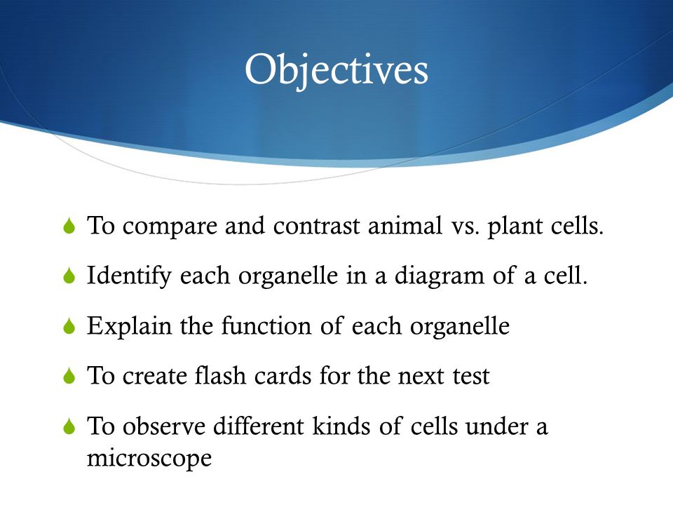 Objectives  To compare and contrast animal vs. plant cells.