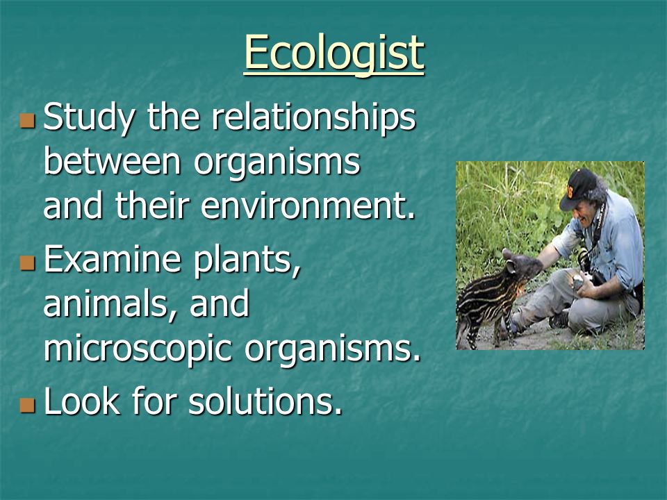Ecologist Study the relationships between organisms and their environment.