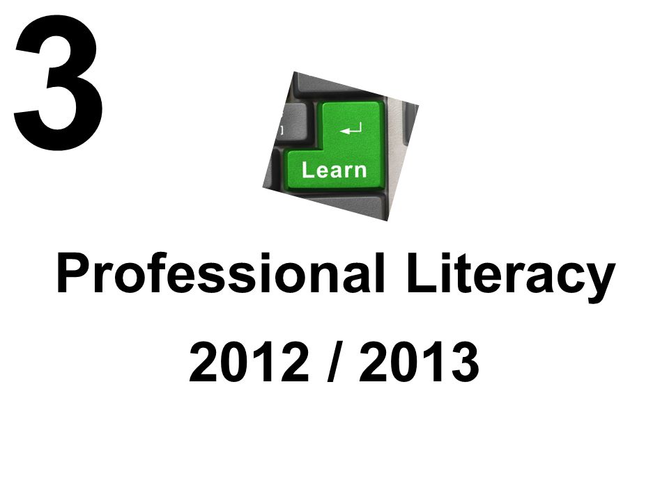 Professional Literacy 2012 /