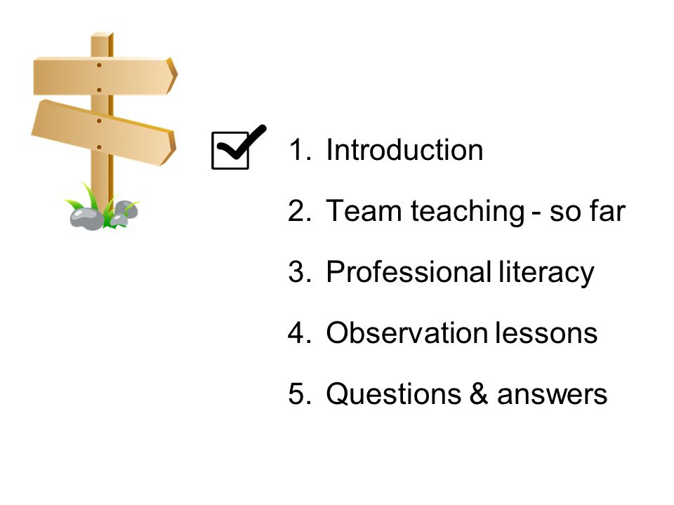 1.Introduction 2.Team teaching - so far 3.Professional literacy 4.Observation lessons 5.Questions & answers