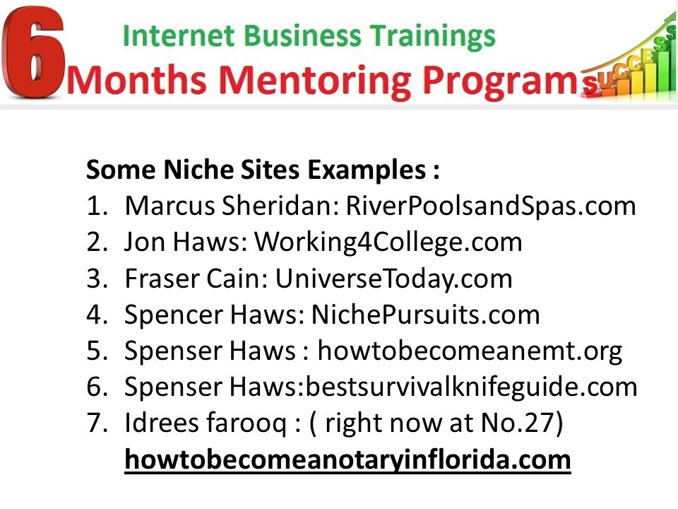 Some Niche Sites Examples : 1.Marcus Sheridan: RiverPoolsandSpas.com 2.Jon Haws: Working4College.com 3.Fraser Cain: UniverseToday.com 4.Spencer Haws: NichePursuits.com 5.Spenser Haws : howtobecomeanemt.org 6.Spenser Haws:bestsurvivalknifeguide.com 7.Idrees farooq : ( right now at No.27) howtobecomeanotaryinflorida.com