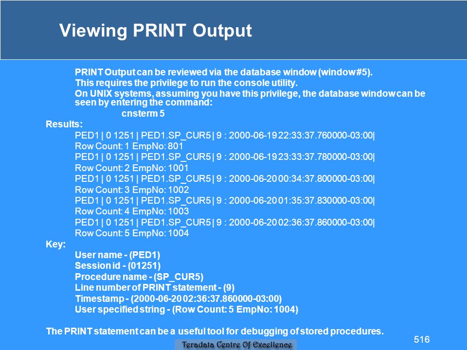 Viewing PRINT Output PRINT Output can be reviewed via the database window (window #5).