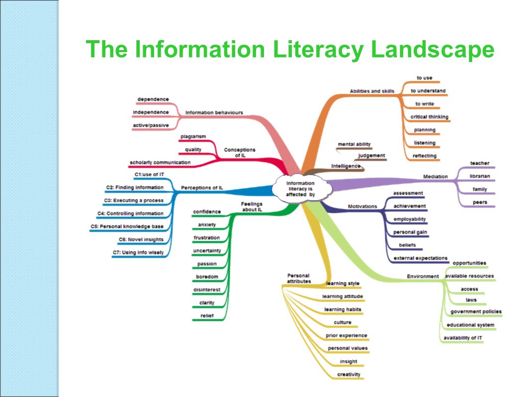 The Information Literacy Landscape