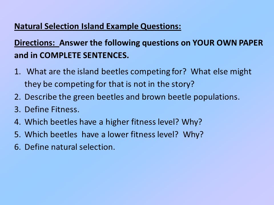 Natural Selection Island Example Questions: Directions: Answer the following questions on YOUR OWN PAPER and in COMPLETE SENTENCES.